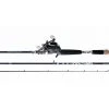 Daiwa Procaster 80 System