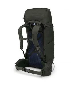 Packs & Bags Osprey Men's Kestrel 58 Backpack