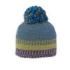 Pistil Circus Beanie
