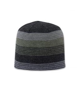 Pistil Designs Chase Beanie