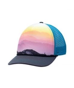Pistil Matty Trucker Hat