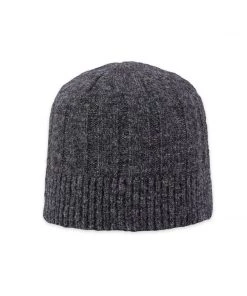 Pistil Wagner Beanie