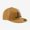 Ball Caps & Sun Hats Salomon Logo FlexFit Cap
