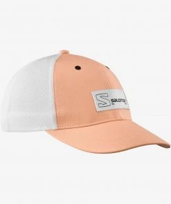 Salomon Trucker Curved Cap