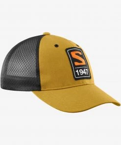 Salomon Trucker Curved Cap