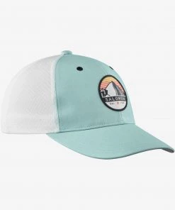 Salomon Trucker Curved Cap