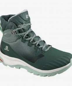 Salomon Women's Vaya Blaze TS CSWP (410292)