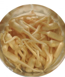 Soft Plastic Baits Berkley Gulp Alive 1