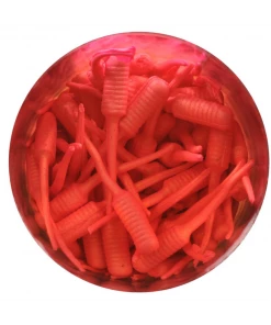 Soft Plastic Baits Berkley Gulp Alive 1