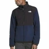 The North Face Men's Denali 2 Jacket