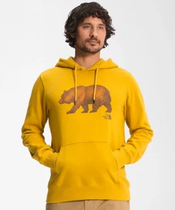The North Face Men's Bear Pullover Hoodie Shirts & Tops