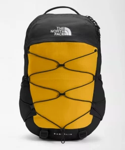 The North Face Borealis Backpack