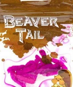 Beaver Tail Bait Soft Plastics 9 Beaver Tail Bait Soft Plastics
